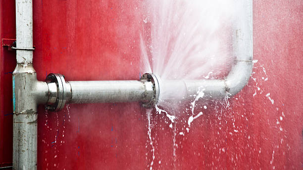 Best 24/7 water damage repair  in Artesia, NM